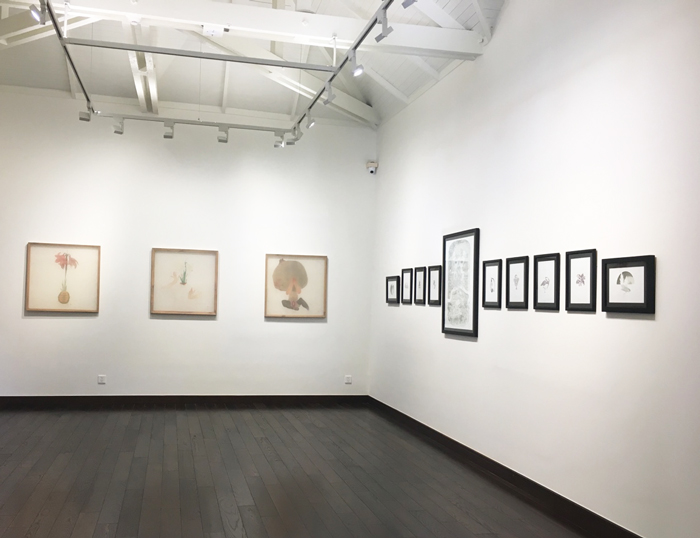 Art Gallery